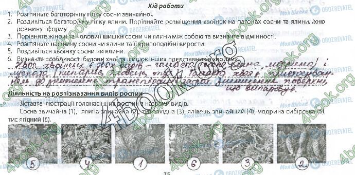 ГДЗ Биология 6 класс страница Стр.75 (2)